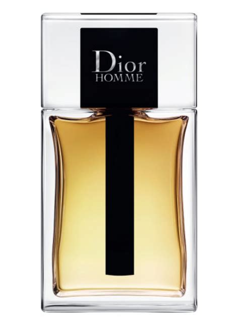 dior edp men|dior homme original fragrantica.